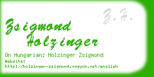 zsigmond holzinger business card